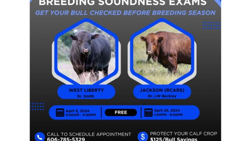 Breeding Soundness Exams Flyer