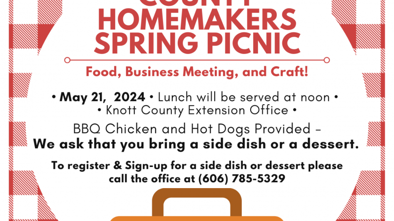 Knott County Homemakers Spring Picnic Flyer