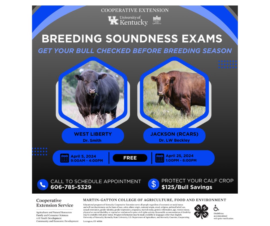 Breeding Soundness Exams Flyer