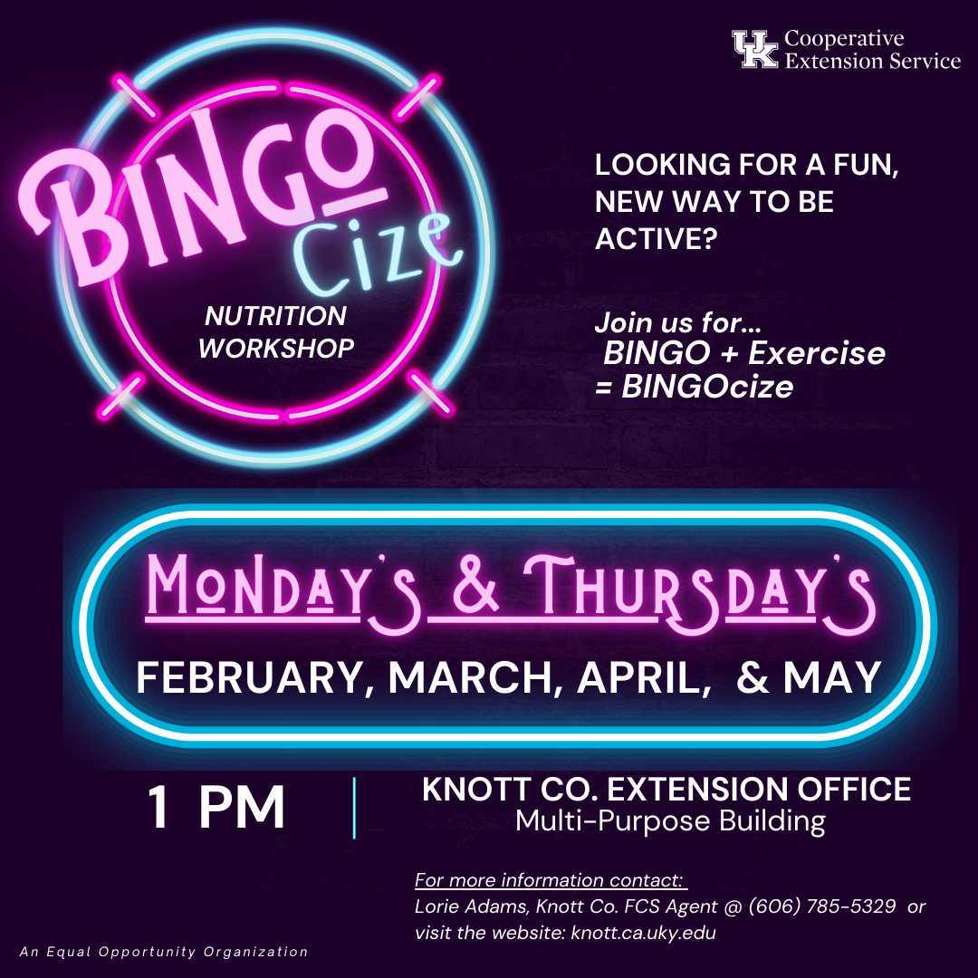 BINGOcize Flyer