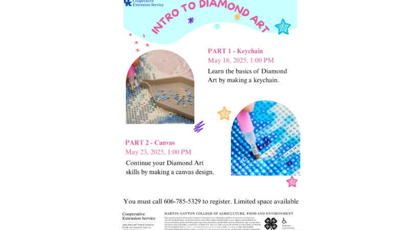 Intro to Diamond Art