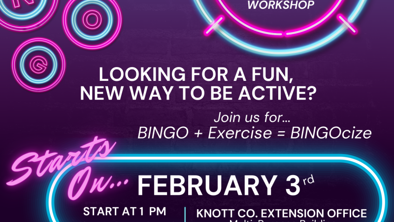 BINGOcize - Nutrition Workshop