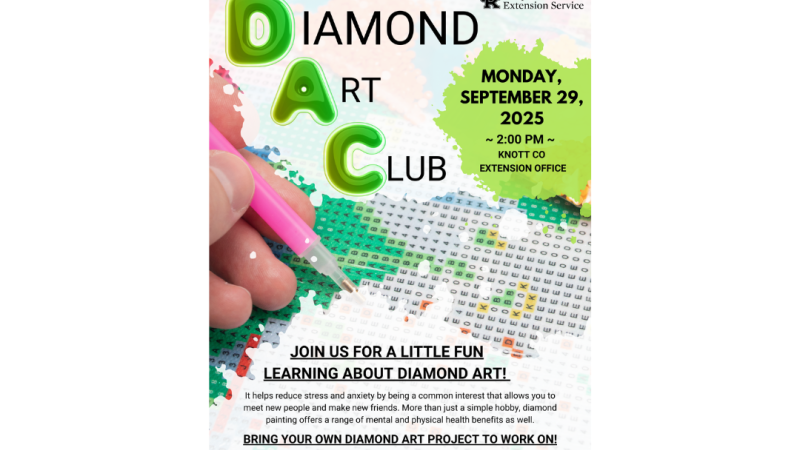 Diamond Art Club 9.29.25