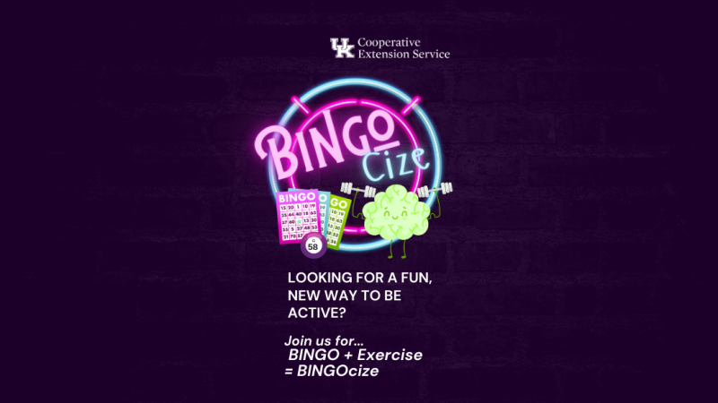 BINGOcize 